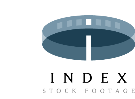 Index Logo